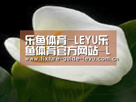 产品名称七