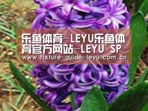 产品名称八