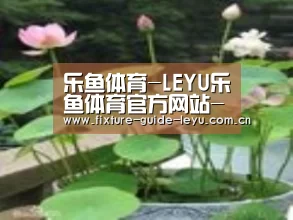 产品名称一